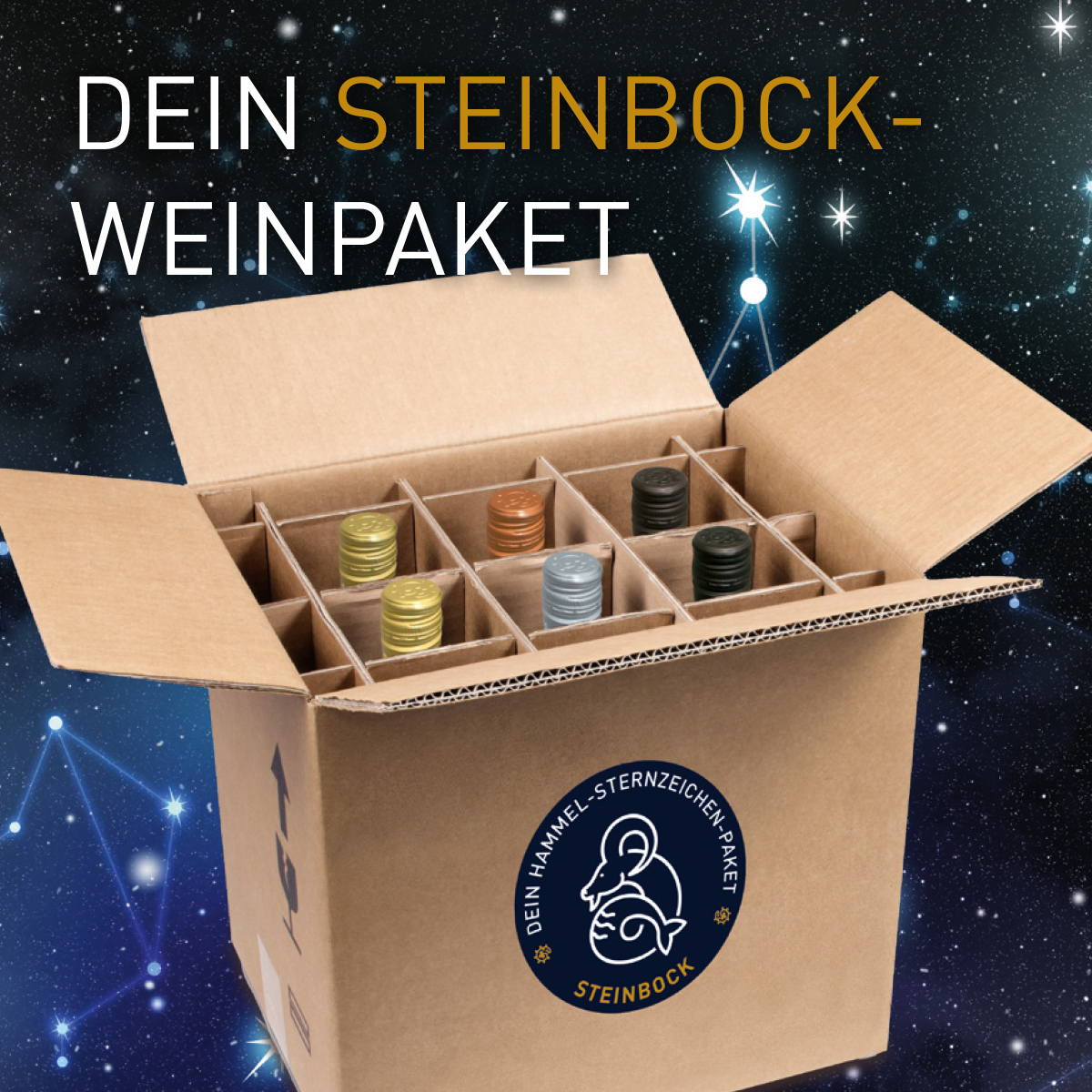 Sternzeichenpaket - Steinbock