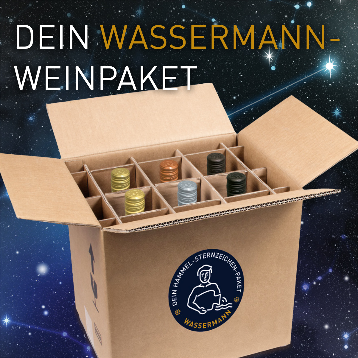 Sternzeichenpaket - Wassermann